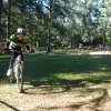 Lundi 11 novembre 2013 - Ecole - cyclo-cross de Parilly