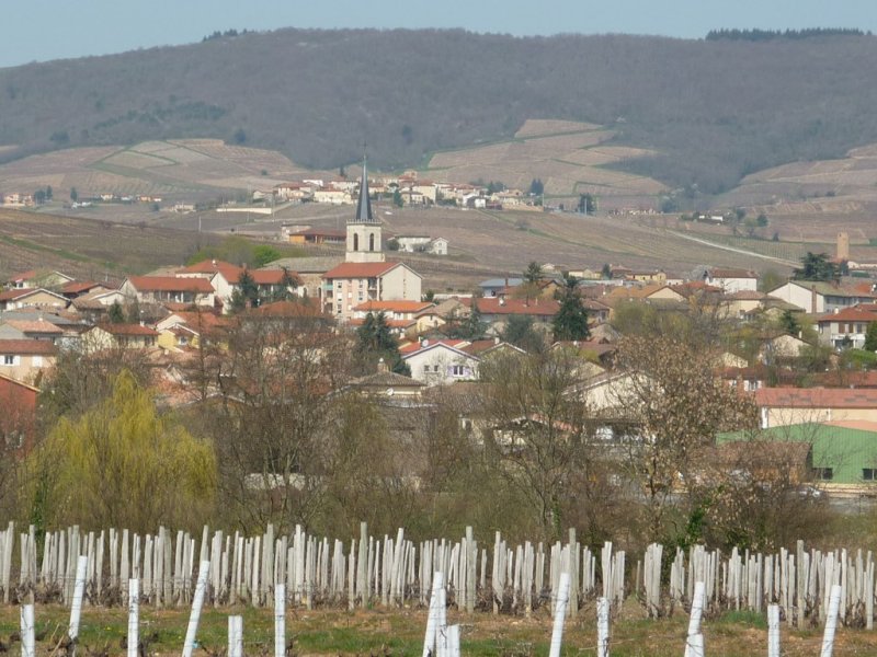 Rallye Raid du Perreon du samedi 29 mars 2014