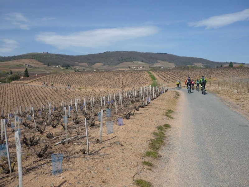 Rallye Raid du Perreon du samedi 29 mars 2014