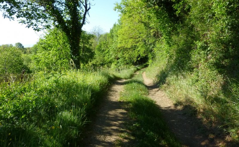 rando VTT Ternand dimanche 18 mai 2014