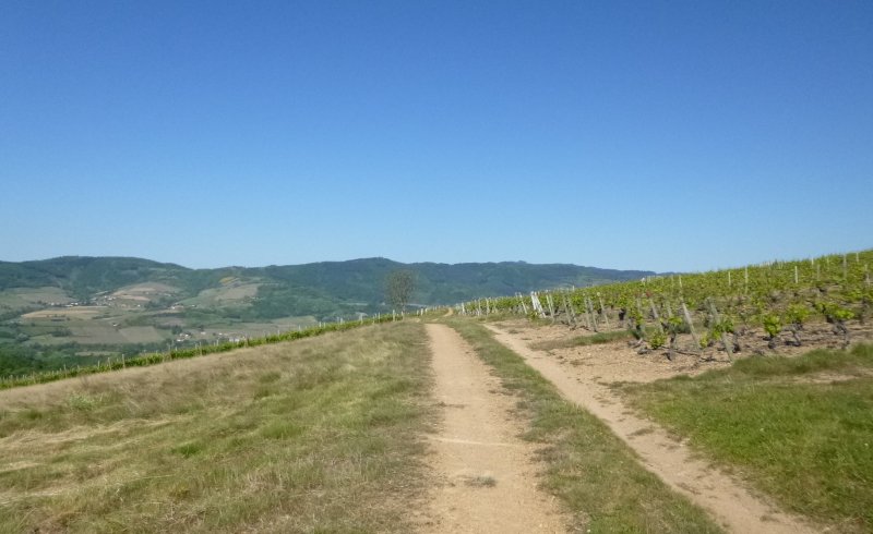 rando VTT Ternand dimanche 18 mai 2014