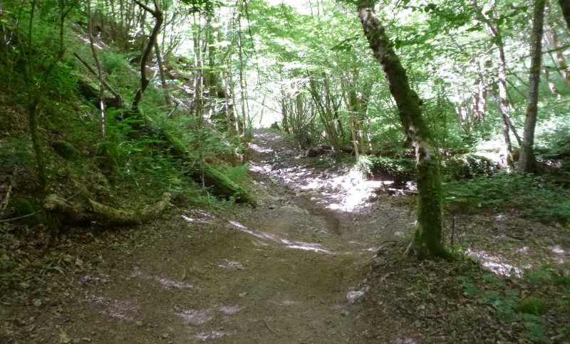 rando VTT Ternand dimanche 18 mai 2014