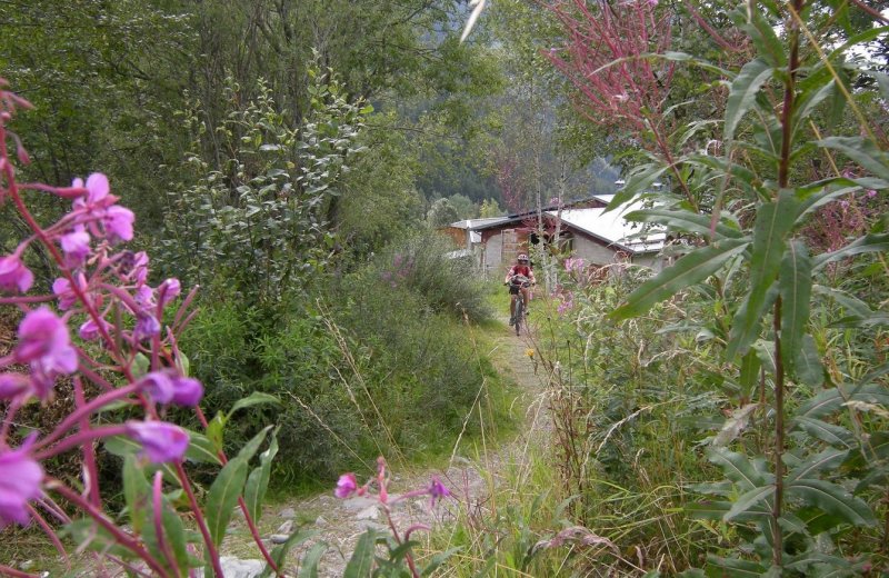 Séjour jeunes ligue à Peisey Vallandry du 20 au 24 août 2014