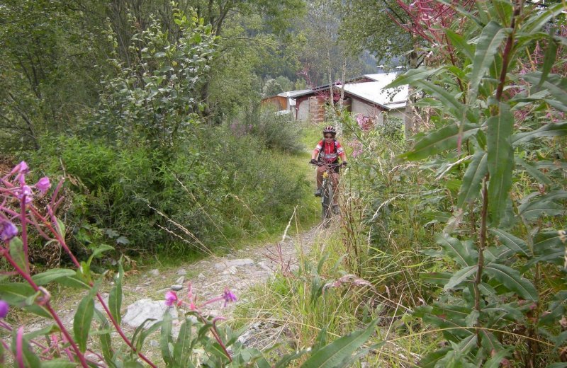 Séjour jeunes ligue à Peisey Vallandry du 20 au 24 août 2014