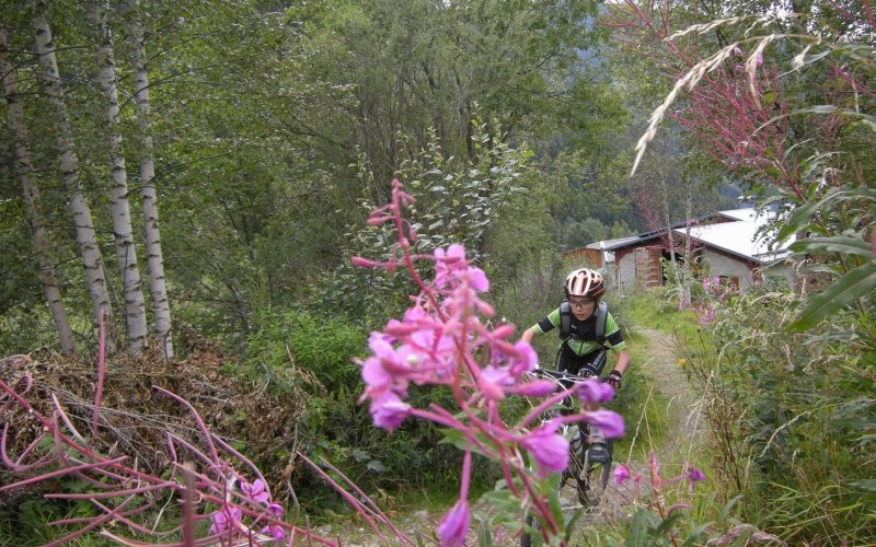 Séjour jeunes ligue à Peisey Vallandry du 20 au 24 août 2014