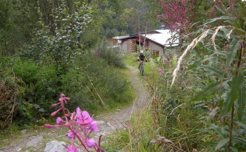 Séjour jeunes ligue à Peisey Vallandry du 20 au 24 août 2014