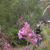 Séjour jeunes ligue à Peisey Vallandry du 20 au 24 août 2014