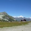 Séjour jeunes ligue à Peisey Vallandry du 20 au 24 août 2014