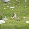 Séjour jeunes ligue à Peisey Vallandry du 20 au 24 août 2014