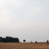 1ères Pédalées - Corbas le 07 février 2015