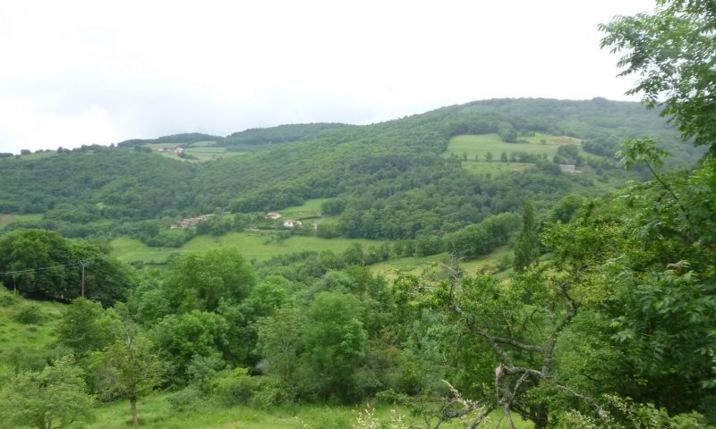 Randonnée de Messimy (VTT Lyon Ouest) le 4 juin 2016